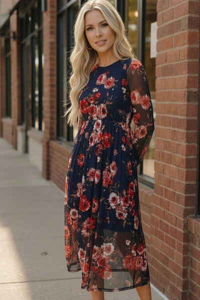 Rosy Romance Mesh Dress